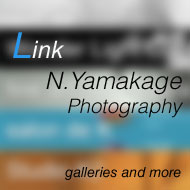 N.Yamakage Photography